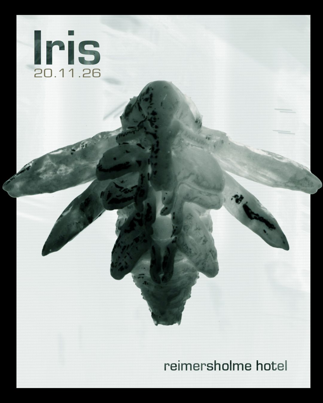Iris live at Reimersholme hotel, Stockholm 20 Nov 2026 — gig poster
